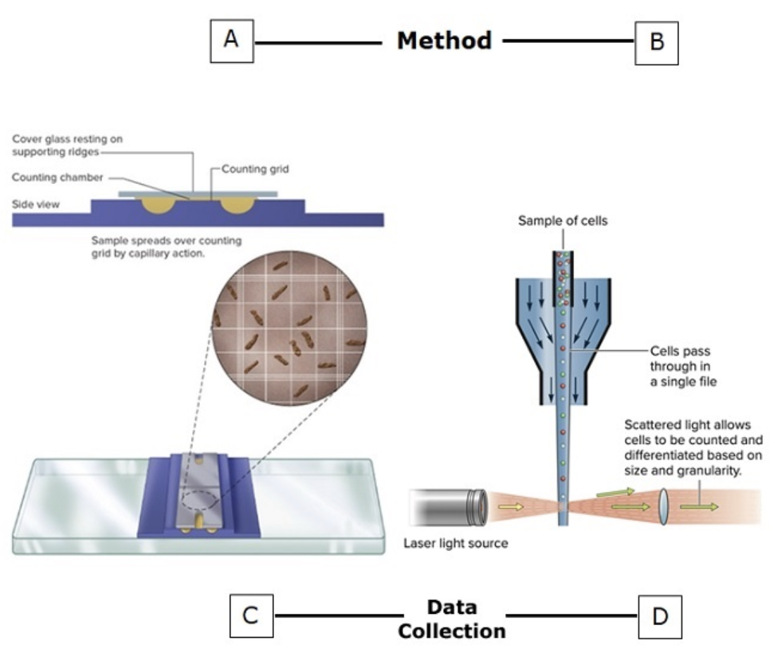 <p>A. Direct Microscopic Count</p><p>B. Flow Cytometer </p><p>C. Manual </p><p>D. Automated </p>