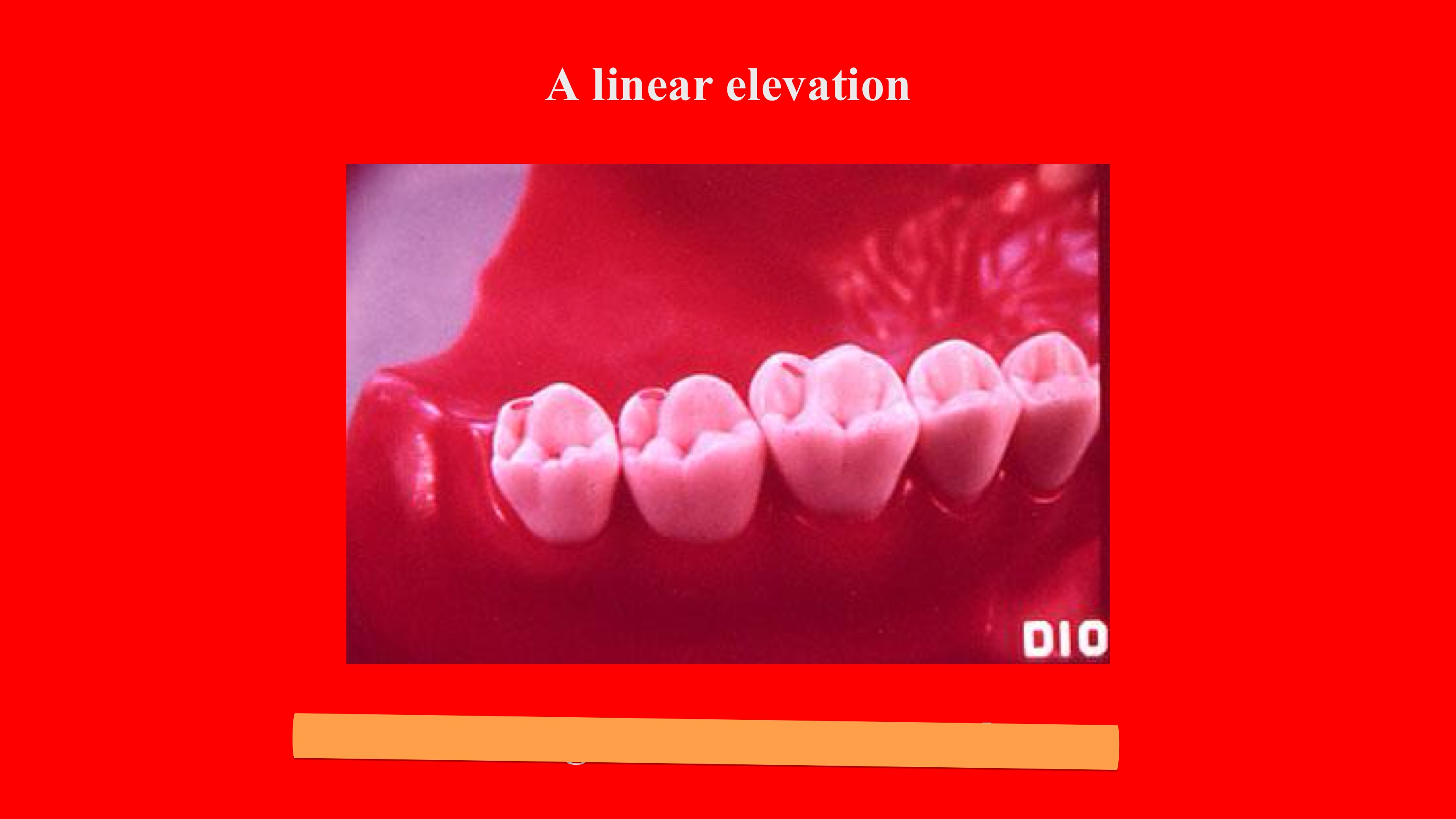 term image