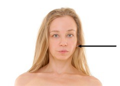 <p>cheek</p>