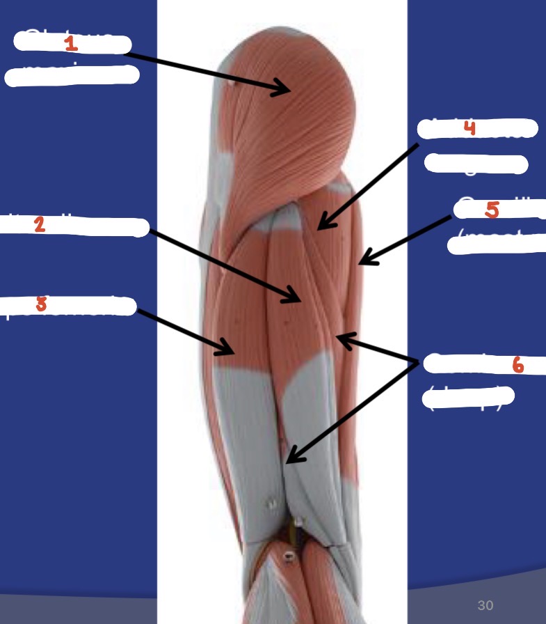 <p>1</p>