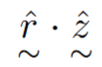 <p>For the radius vector (position vector) what is the image equal too</p>