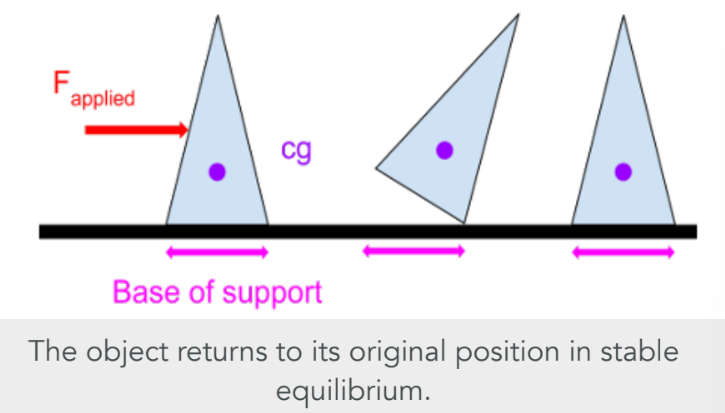 <p>A system is in stable equilibrium when, if displaced, it returns to its original position. The cg remains within the base of support.</p>