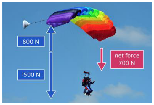 <p>The overall force on an object, found when balanced forces are cancelled out.</p>
