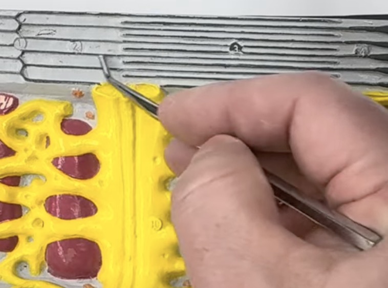 knowt flashcard image