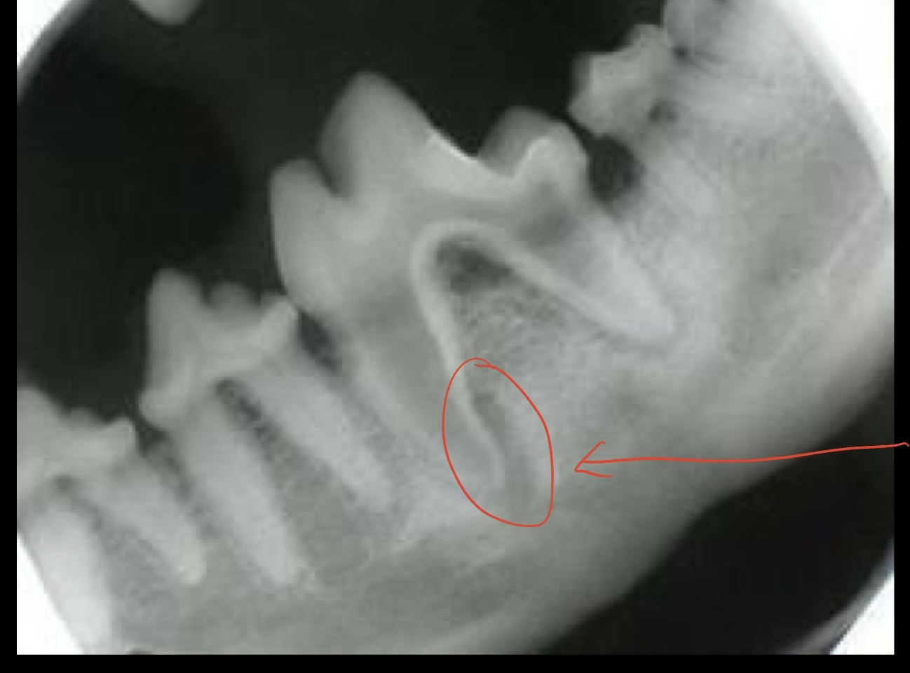 <p>what is this?</p>