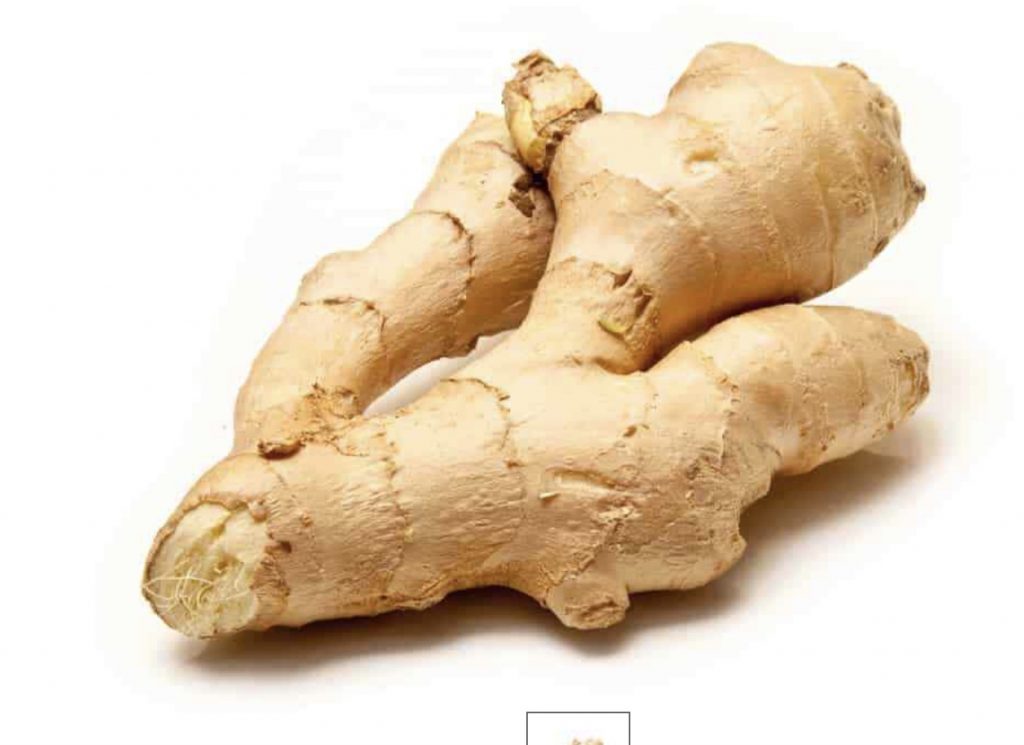<p>Ginger Root</p>