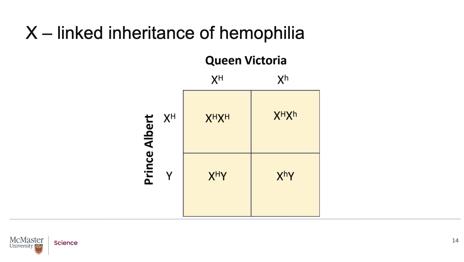 <p><strong>Back (Answer):</strong></p><ul><li><p><strong>Haemophilia</strong> is an <strong>X‑linked recessive disorder</strong></p></li><li><p><strong>Queen Victoria</strong> was a <strong>carrier</strong> for the haemophilia allele:</p><ul><li><p>One normal X chromosome</p></li><li><p>One X chromosome with the mutant haemophilia allele</p></li></ul></li><li><p><strong>Prince Albert</strong> was unaffected:</p><ul><li><p>He carried a normal X chromosome and a Y chromosome</p></li></ul></li><li><p>A Punnett square analysis shows the following outcomes for their children:</p><ul><li><p><strong>Female offspring (XX):</strong></p><ul><li><p>50% will inherit the normal X from Queen Victoria and be <strong>completely normal</strong></p></li><li><p>50% will inherit the affected X and be <strong>carriers</strong></p></li><li><p>None are expected to be affected</p></li></ul></li><li><p><strong>Male offspring (XY):</strong></p><ul><li><p>50% will inherit the normal X and be <strong>unaffected</strong></p></li><li><p>50% will inherit the affected X and will <strong>have haemophilia</strong></p></li></ul></li></ul></li><li><p>These ratios follow <strong>Mendelian inheritance principles</strong> for X‑linked recessive traits</p></li></ul><p><strong>Key takeaway:</strong><br>When a carrier female mates with an unaffected male, half the sons are affected and half the daughters are carriers.</p><p></p><p></p>