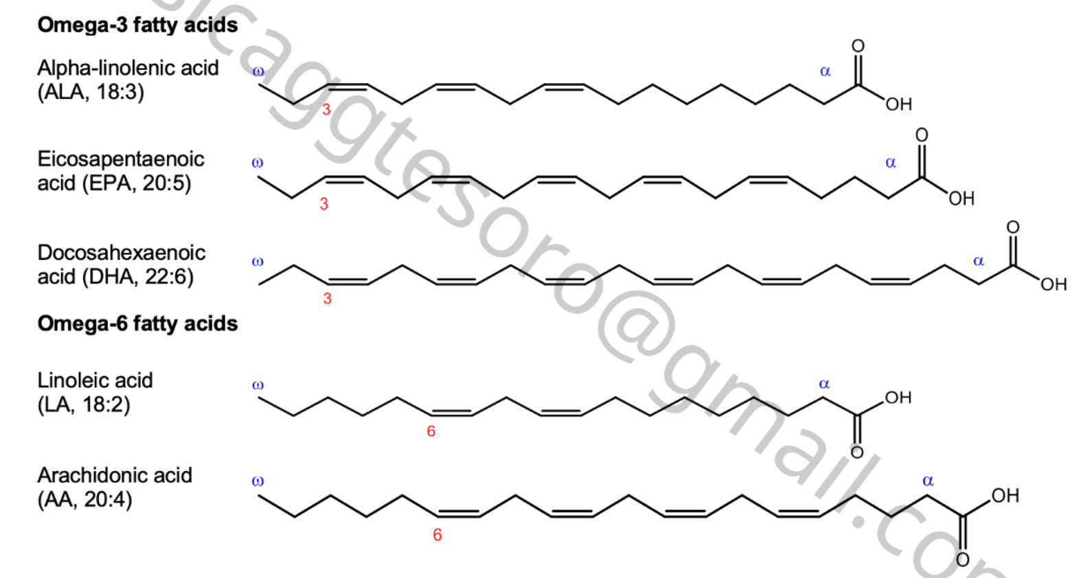 <p><strong>Alpha-linoleic acid</strong> = omega-3 = fish</p><p><strong>Linoleic acid</strong> = omega-6 = plant, soy, nuts</p><p>(3,6&nbsp; are the position of the first C=C)</p>