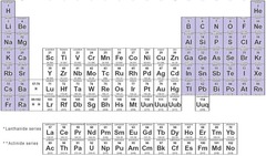 <p>the elements in Groups 1A -7A, plus the noble gases, 8A</p>