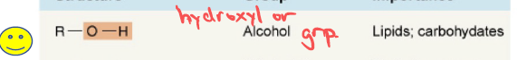 <p>Hydroxyl (Alcohol) group — found in lipids and carbohydrates.</p>