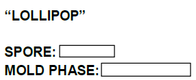 term image