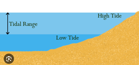 <p>Tidewater</p>
