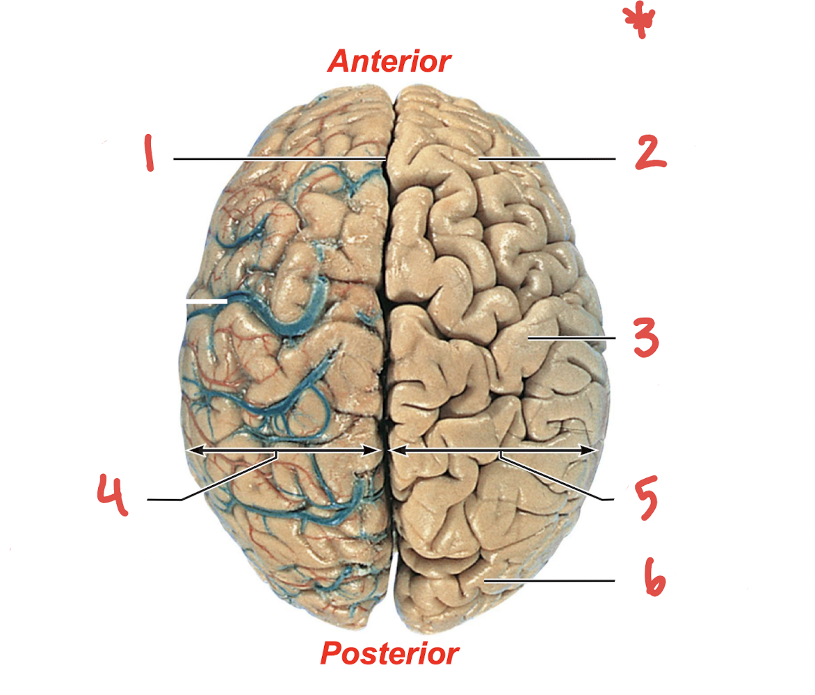 <p>What is number 3*</p>