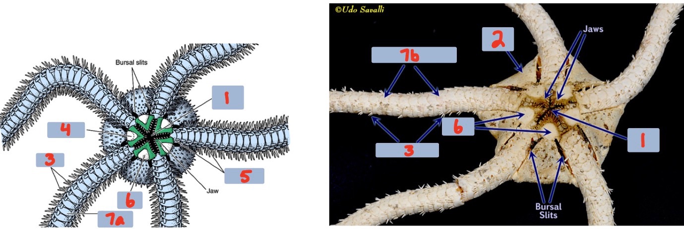 <p>4?</p>