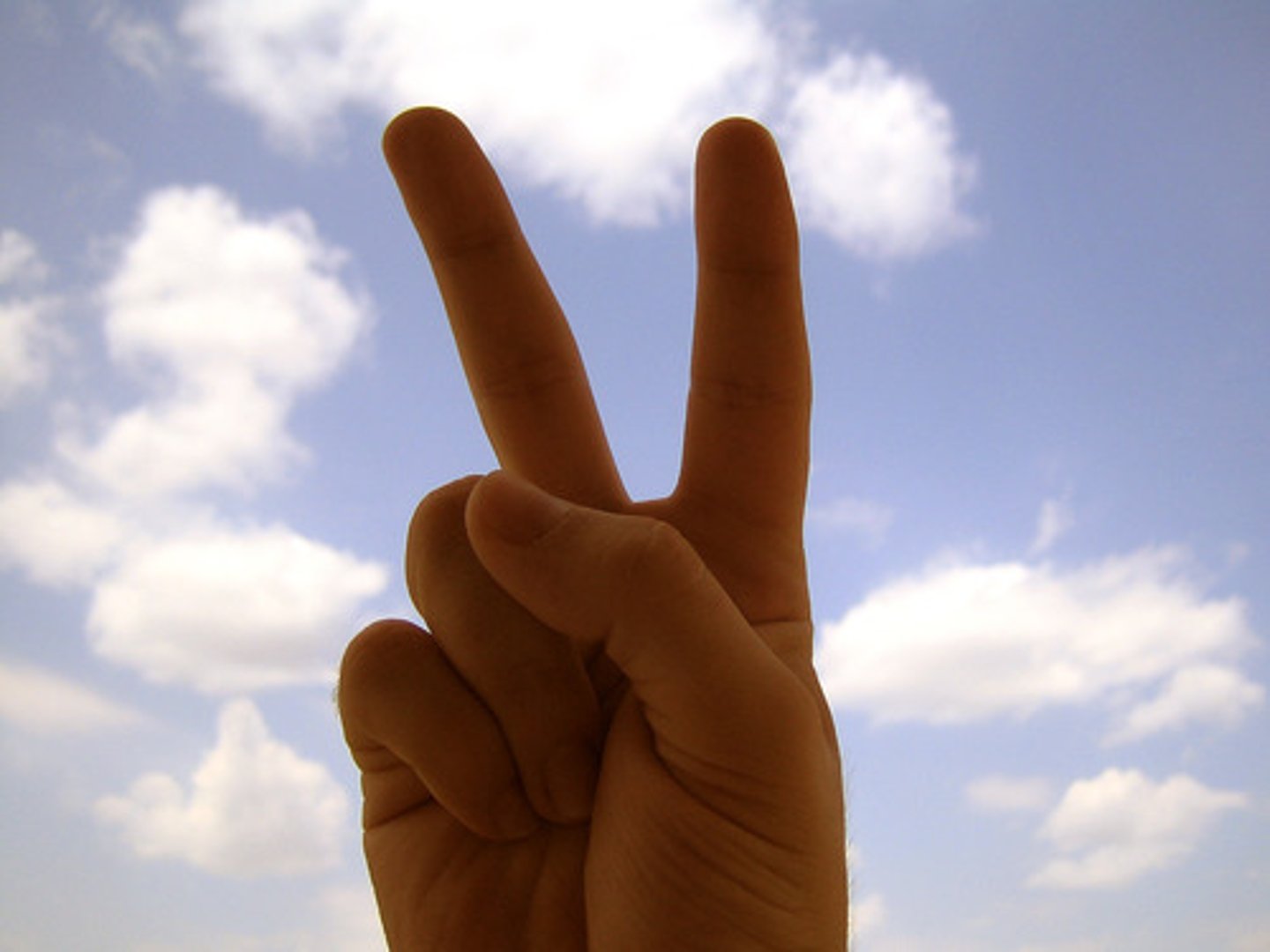 <p>(n): hòa bình</p>