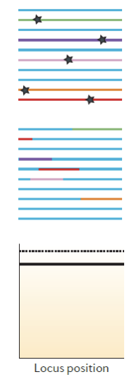 <p><span>Negative (purifying) selection</span></p>