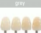 <p>VITA hue category that is GRAYISH</p>