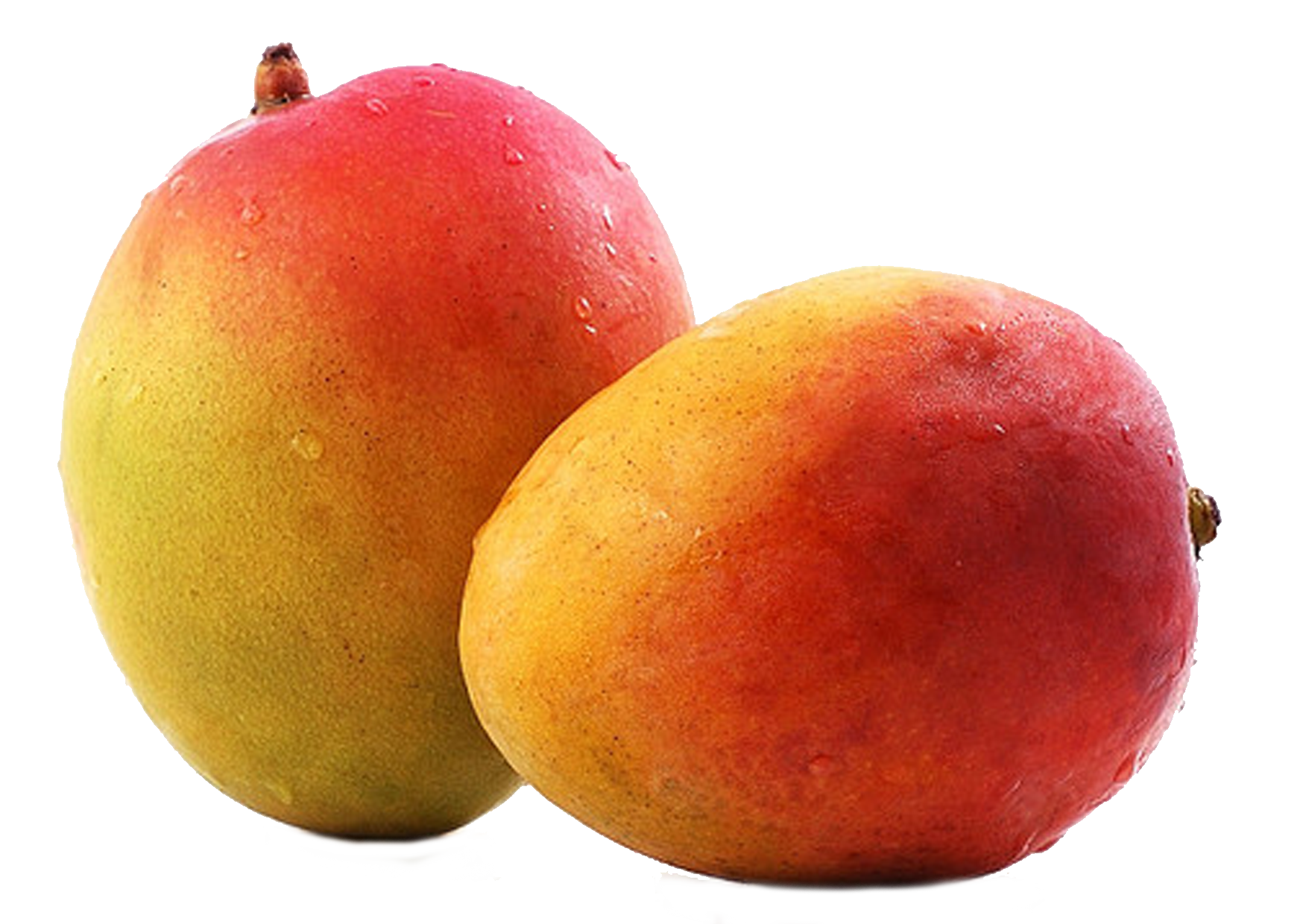 <p>Mangos </p>