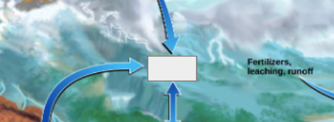 <p>phosphorous cycle: name this step</p>