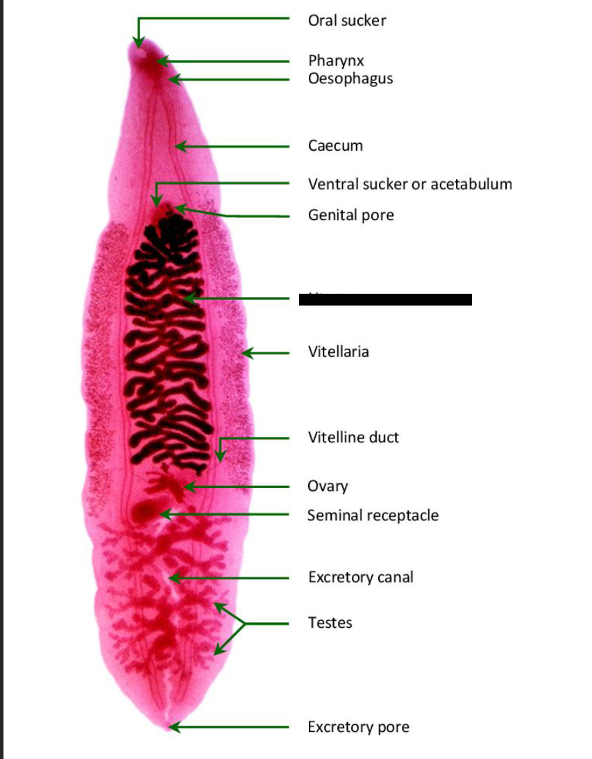 <p>Label missing part</p>