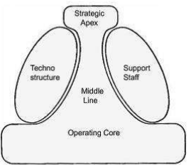 <ul><li><p>strategic apex: ensures the company’s mission; ensures that the organization functions as an integrated unit and defines the strategy</p></li><li><p>technocrats/technostructure: design; staff that uses standardization to coordinate the work of the organization</p></li><li><p>middle line: the supervision line → middle management</p></li><li><p>support staff: they do not intervene in the main activity, but help them (e.g. maintenance, cleaning, HR)</p></li><li><p>operating core: formed by the members in charge of production or service provision (main activity)</p></li></ul><p></p>
