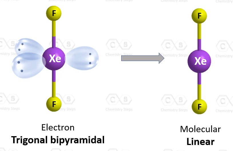 <p>Linear </p><p>180 degrees</p>