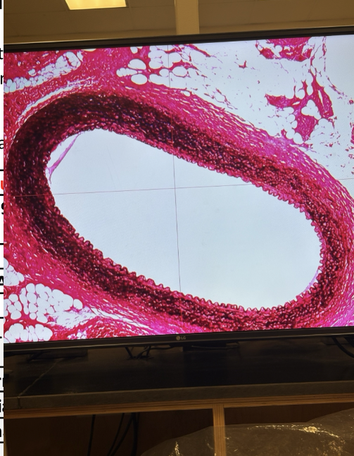 <p>What is this slide showing?</p>