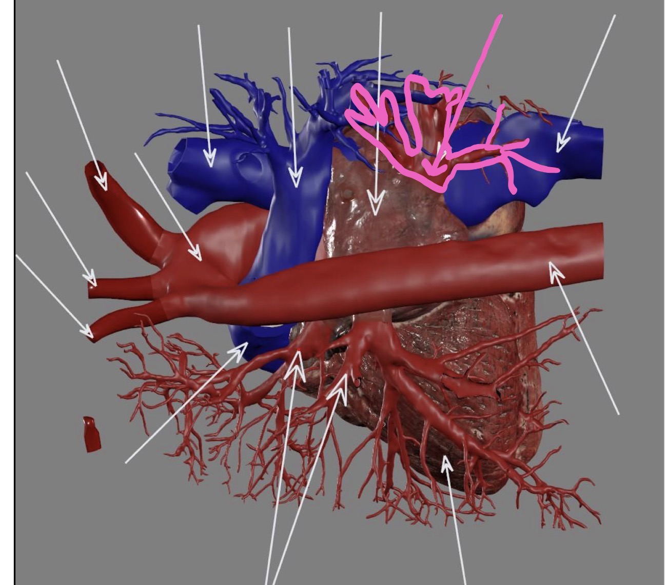 <p>What’s the highlighted area?</p>