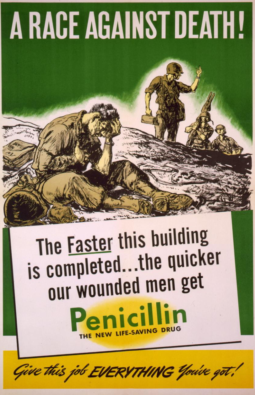 <p>The first patient was successfully treated for streptococcal septicemia in the United States in 1942.</p><p>_</p><ul><li><p>Penicillin helped reduce the number of deaths and amputations of troops during World War II</p></li></ul><p></p>