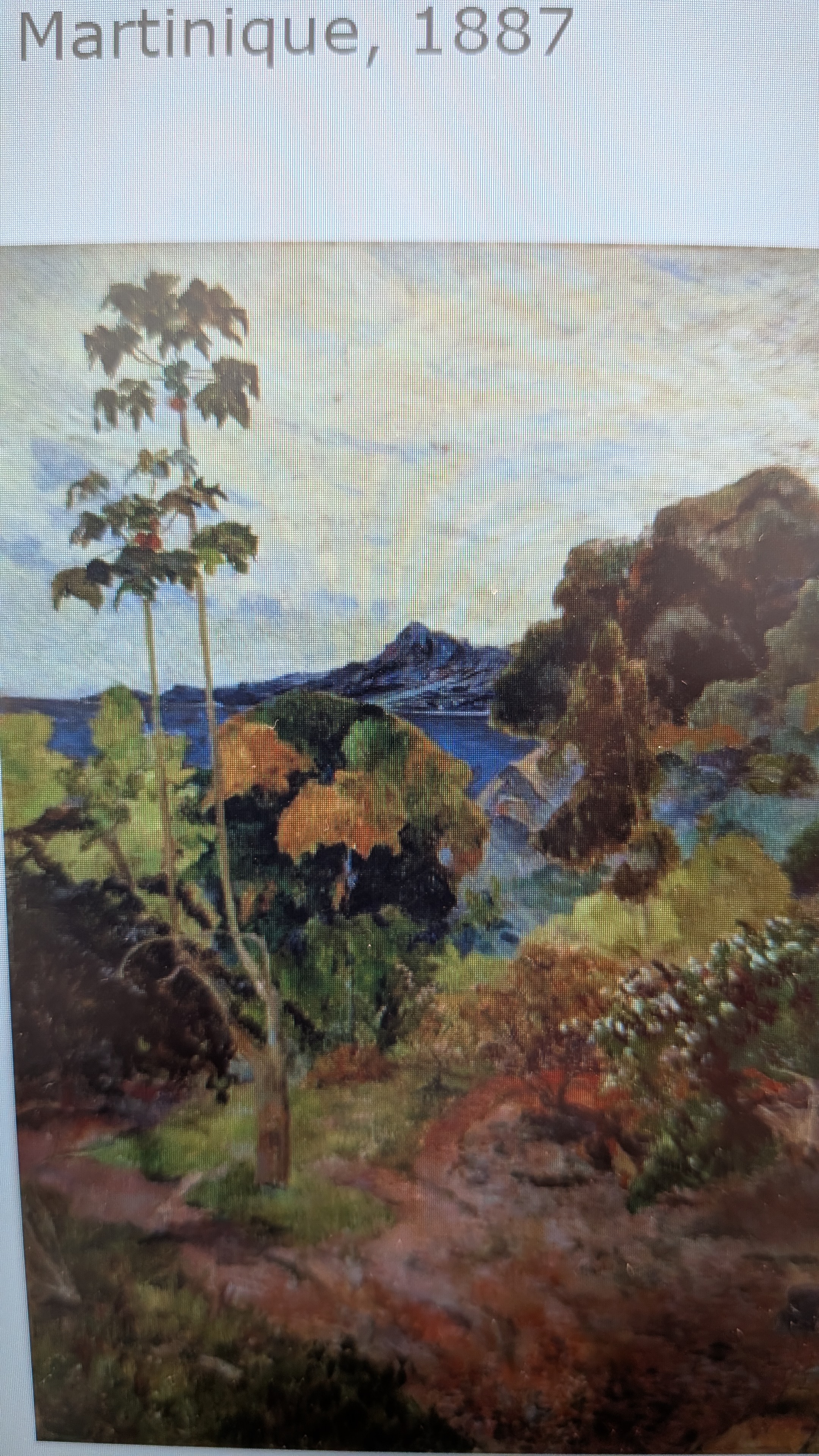 term image