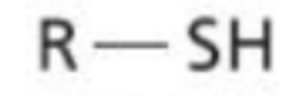 <p>An organic molecule with a sulfhydryl functional group connected to an R group</p>