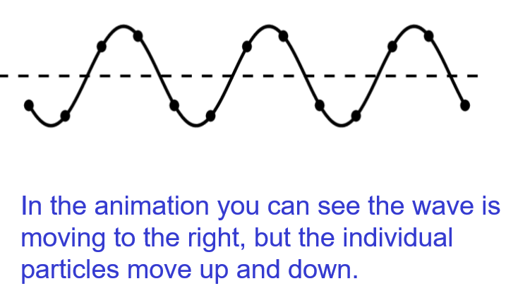 <ul><li><p><span>particles move perpendicular to the motion of the wave</span></p></li><li><p><span>e.g: water ripples, EM waves</span></p></li></ul><p></p>