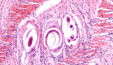 <p><span style="background-color: rgba(0, 0, 0, 0); line-height: 19.7625px;">What is the species in this photo? Where is this?</span></p>