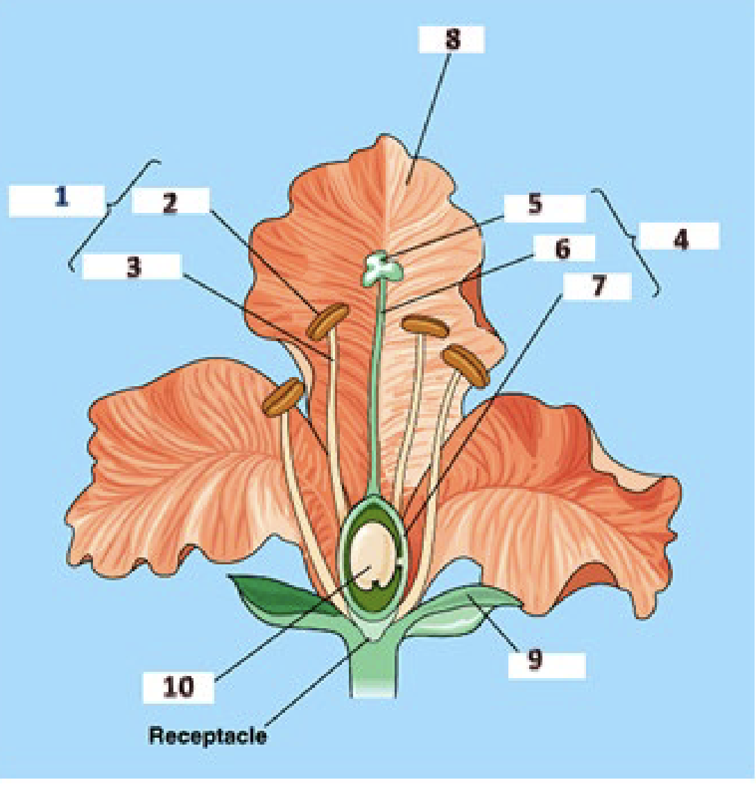 <p>what is number 4 </p>