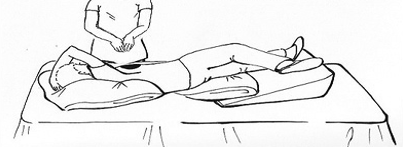<p>what part of lungs is shaded in the image?</p>