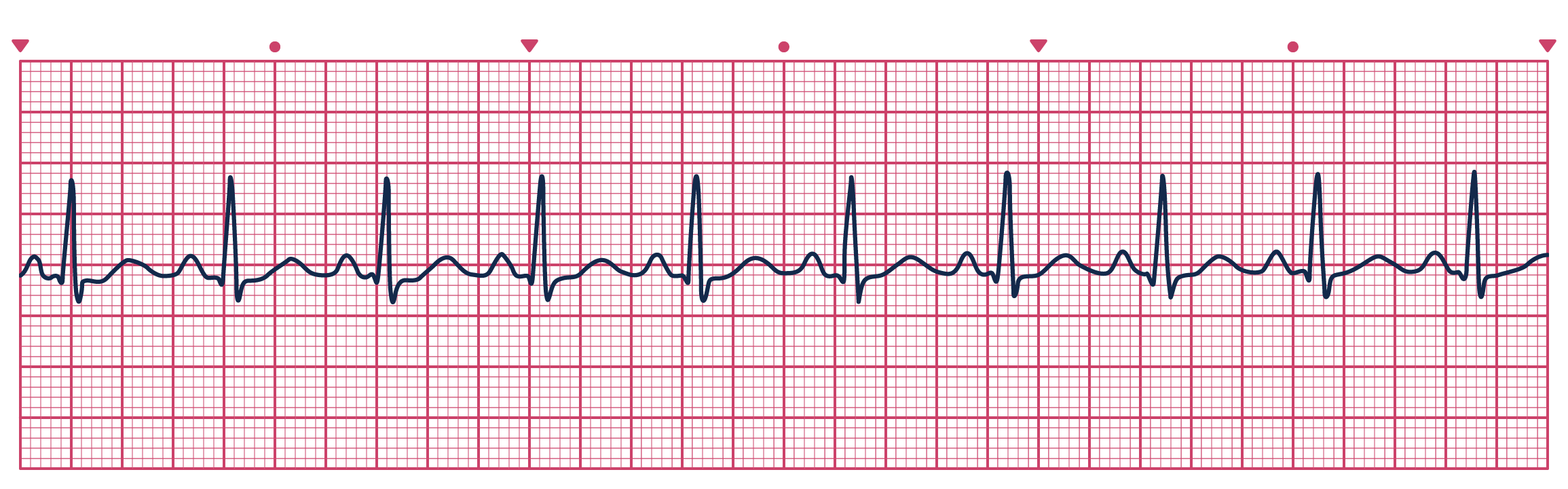 <p>Guess the Rhythm></p>