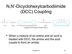 <p>1. Amine, Acid </p><p>2. DCC</p>