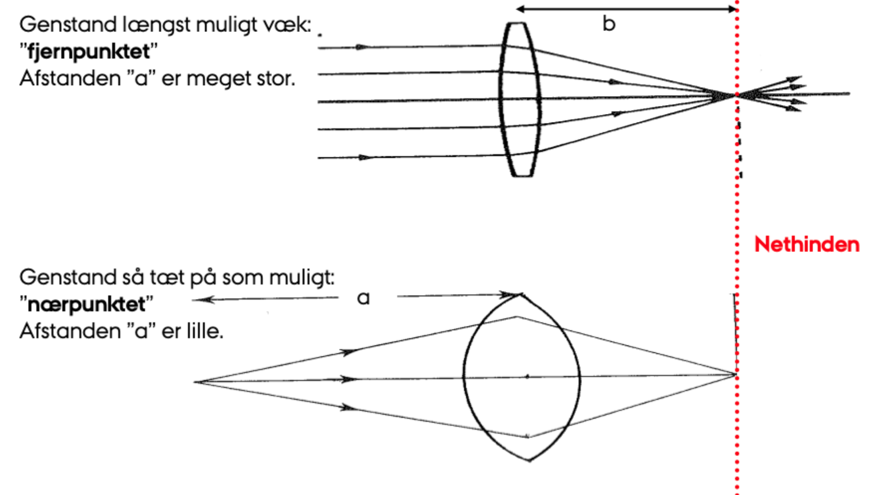 <p>Ved fjerne objekter er brydningen mindre, fordi strålerne er næsten <strong>parallelle</strong>. Ved nære objekter kræves <strong>stærkere linse</strong>, fordi strålerne er mere <strong>divergerende</strong>.</p>