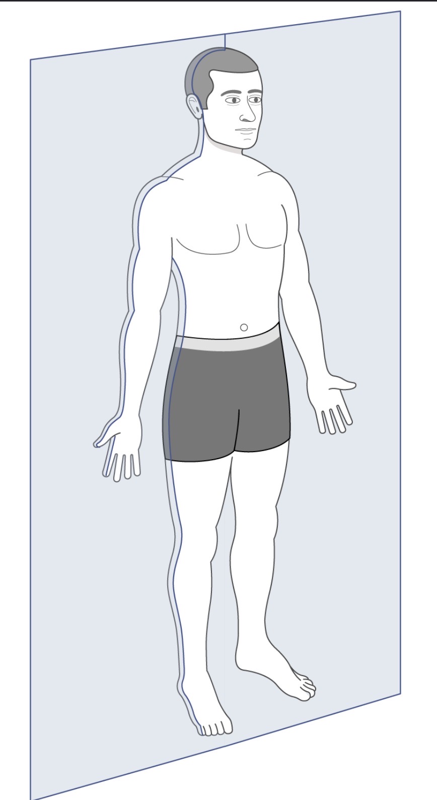 <p>A plane that divides the body into anterior (front) and posterior (back) portions. </p>