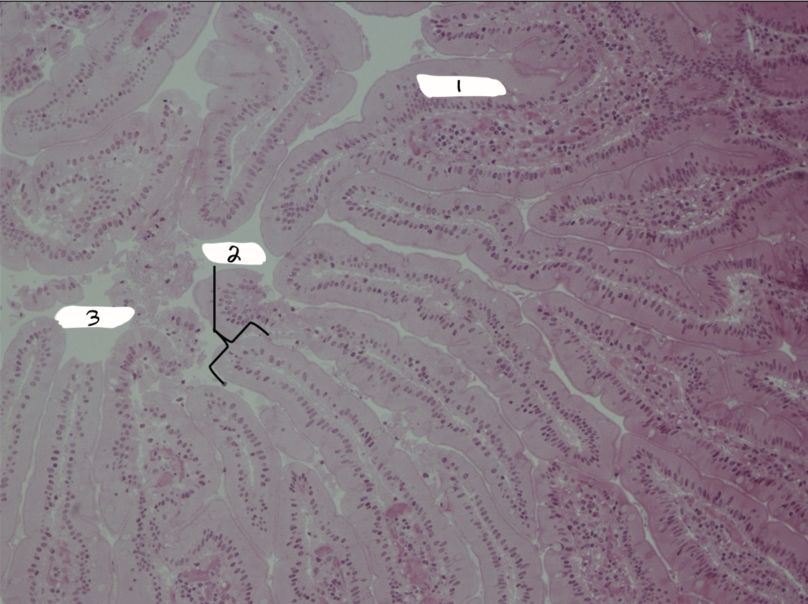 <p>what is this a sample of?</p>