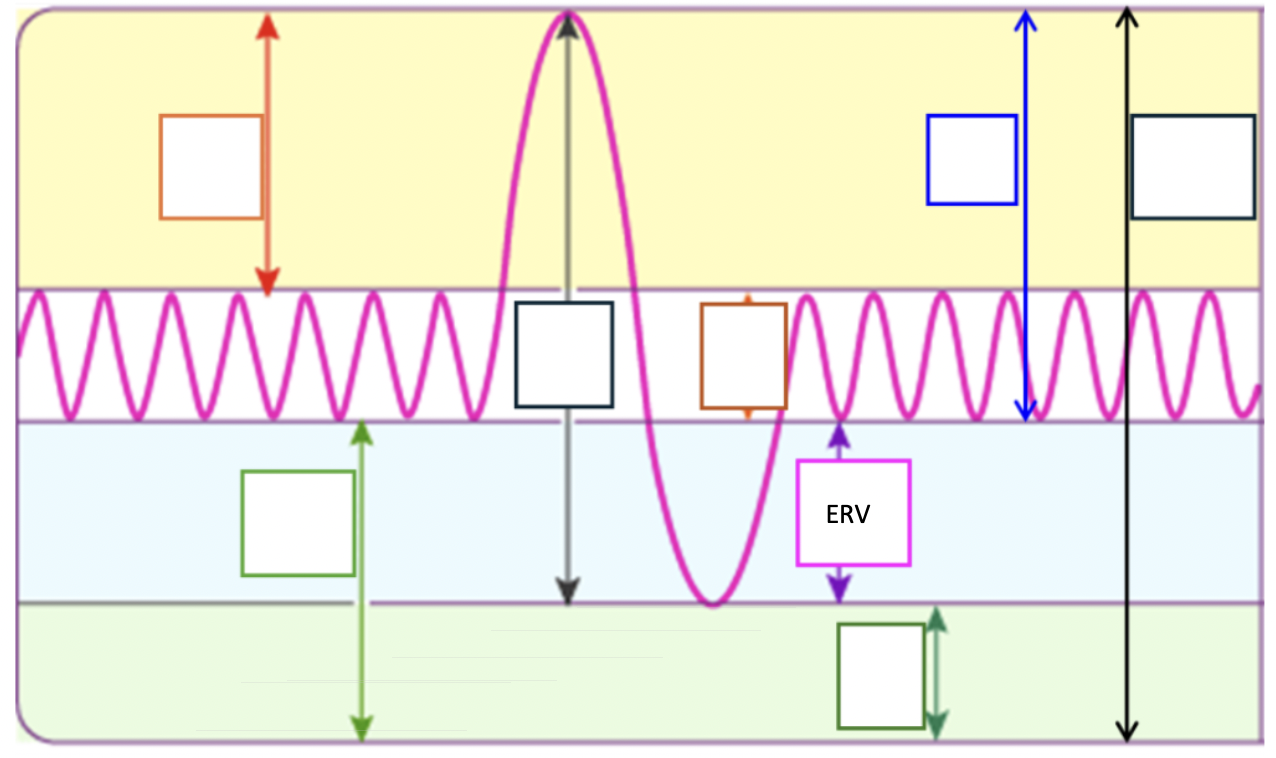 <p>Amount of air exhaled with max effort in excess of tidal volume</p>