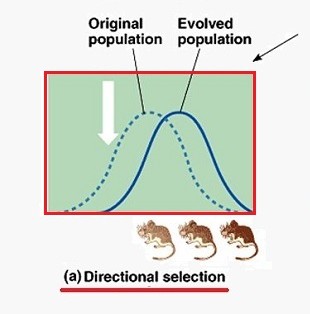 <p>The bell curve has shifted towards one of the extremes</p>