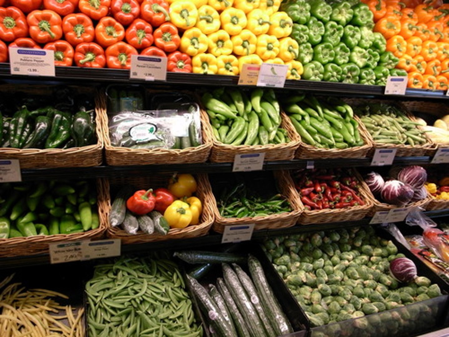 <p>Something in the environment that limits the growth of a population, like food or space.</p>