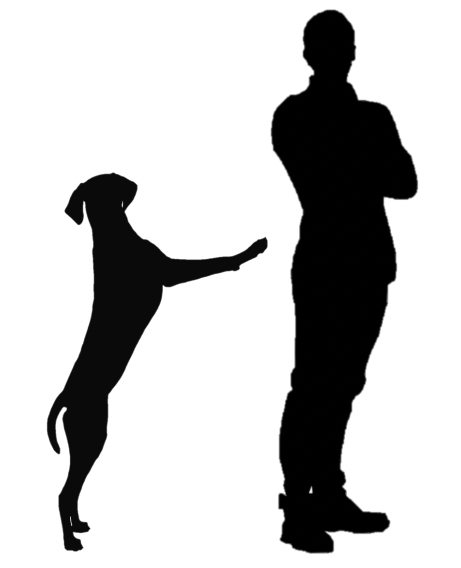 <p>turn your back on</p>