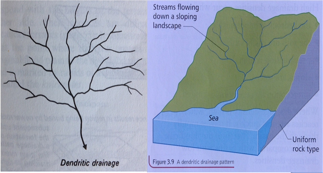 <ul><li><p>occurs when the rock has a uniform or even hardness</p><ul><li><p>water flows <strong>randomly</strong></p></li><li><p>pattern is similar to the veins in an oak leaf</p></li></ul></li></ul><p></p>