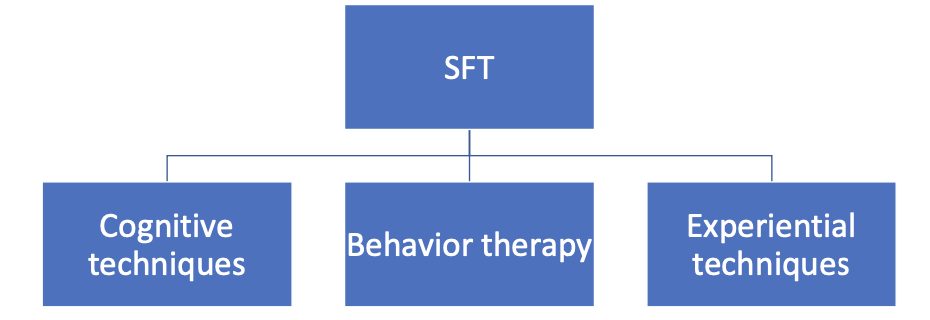 <ul><li><p><span>1990s: Jeffrey Young &amp; colleagues</span></p></li><li><p><span>Complex problems</span></p></li><li><p><span>CBT+</span></p></li><li><p><span>Integrative psychotherapy combining: Attachment theory, cognitive, behavioral, Gestallttherapy, Transactional Analyses, psychodynamic psychotherapy and psychodrama</span></p></li></ul><p></p>