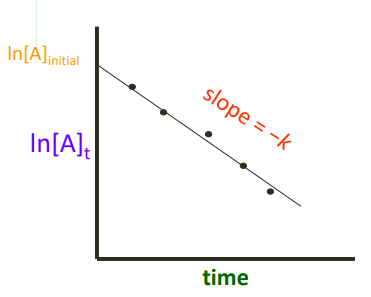 <p>𝐥𝐧[𝑨]𝒕</p>