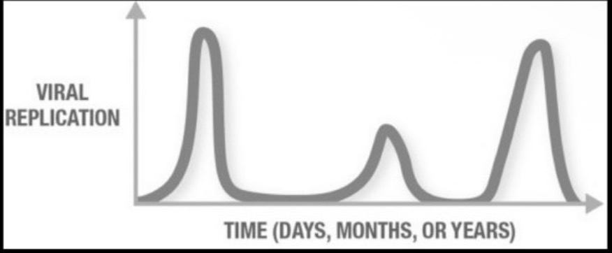 <p><span>Which type of viral infection is demonstrated by the graph?</span><br><br></p><img src="https://hindscc.instructure.com/assessment_questions/227027596/files/77563475/download?verifier=kG9KJ4sejfCcLnIXvzmc3ejHSOTzN7S7Qy6ht0xJ" data-width="100%" data-align="center" alt=""><p></p>