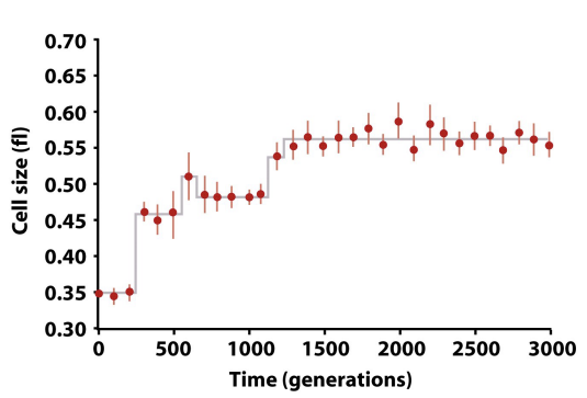 <p>Mutation and Selection: Lenski et al</p>