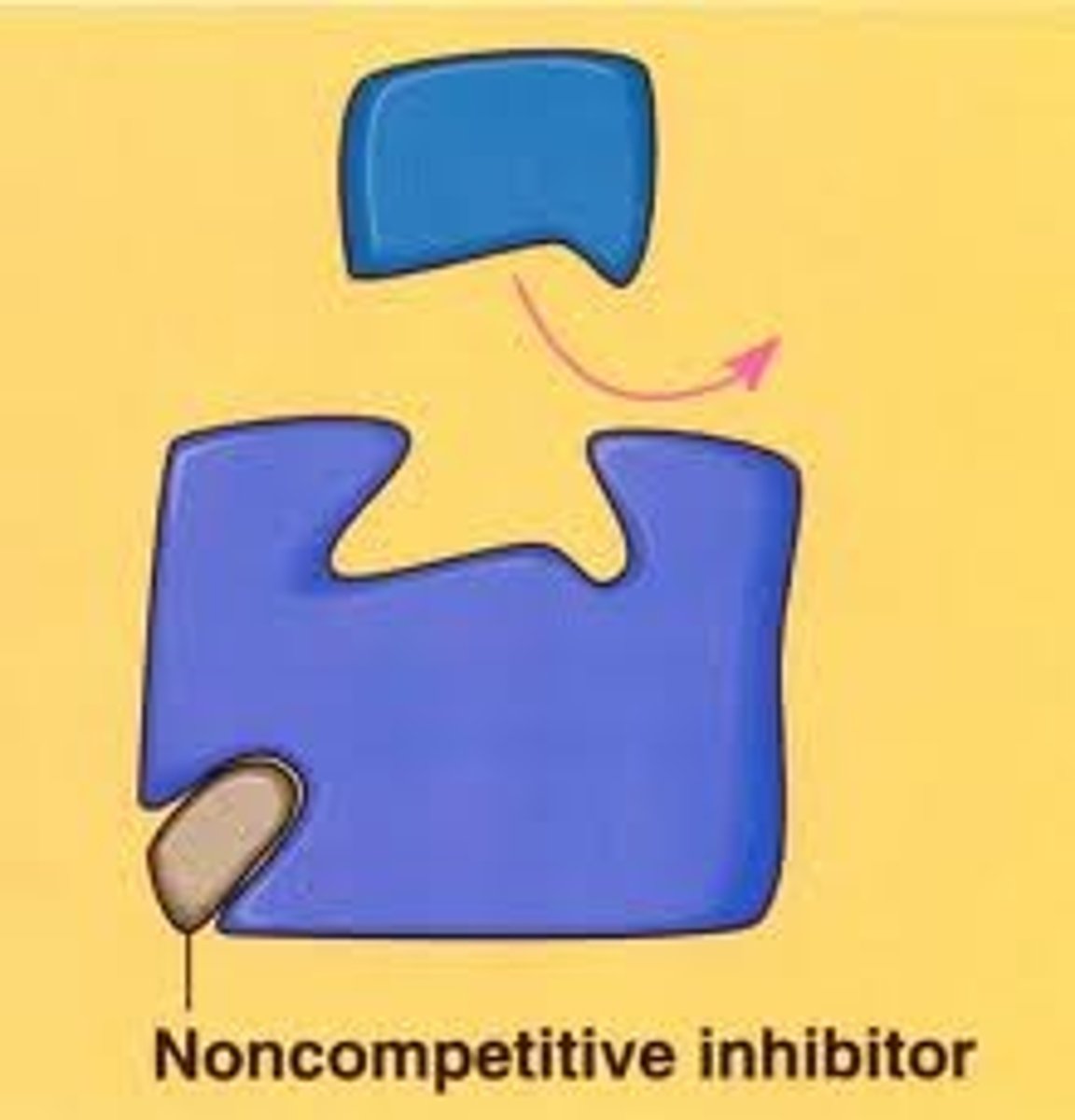 <p>Inhibitor binds to another part of the enzyme (allosteric site) altering its conformation (shape); ex. heavy metal poisoning (heavy metals bind to allosteric sites on enzymes)</p>